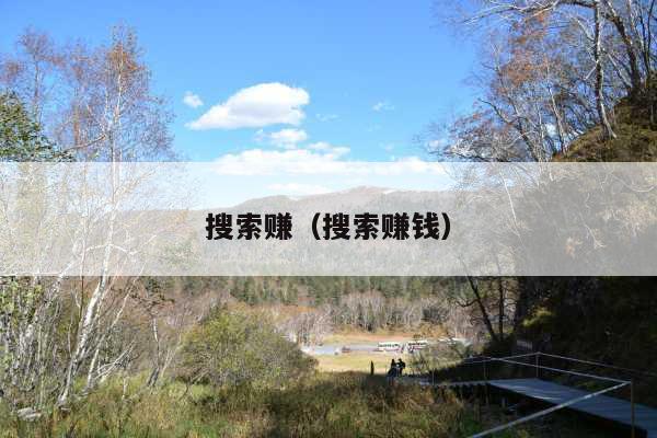 搜索赚（搜索赚钱）