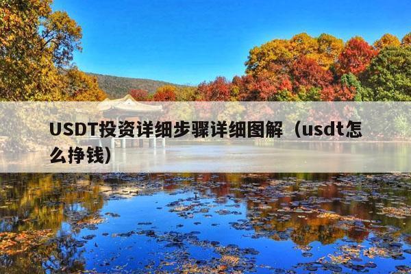 USDT投资详细步骤详细图解（usdt怎么挣钱）