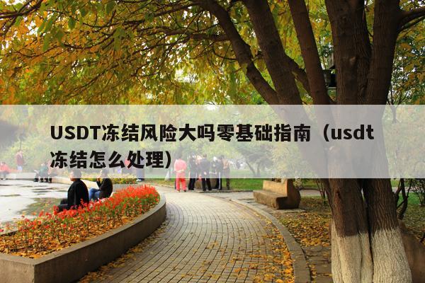 USDT冻结风险大吗零基础指南（usdt冻结怎么处理）