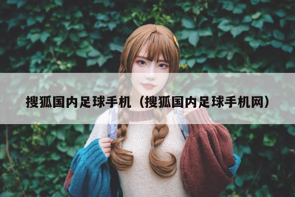 搜狐国内足球手机（搜狐国内足球手机网）