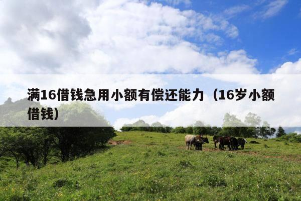 满16借钱急用小额有偿还能力（16岁小额借钱）