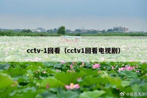 cctv-1回看（cctv1回看电视剧）