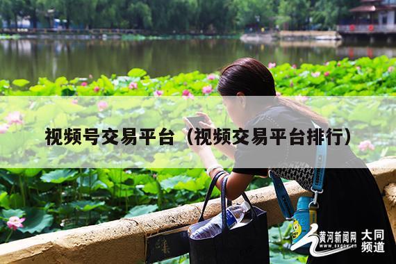 视频号交易平台（视频交易平台排行）