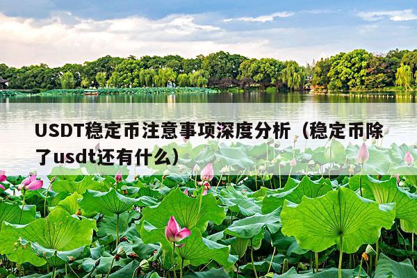 USDT稳定币注意事项深度分析（稳定币除了usdt还有什么）