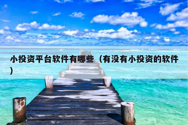 小投资平台软件有哪些（有没有小投资的软件）