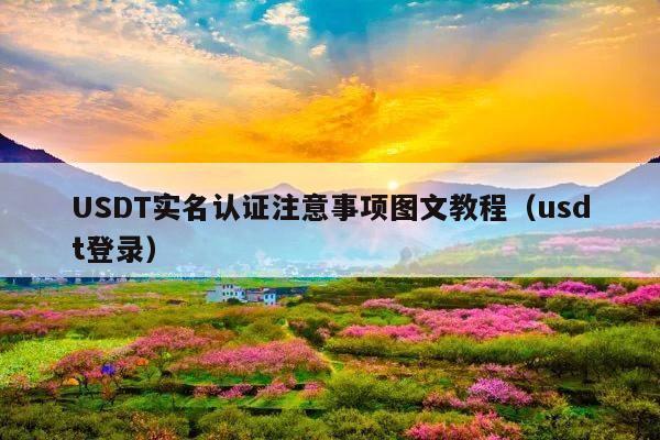 USDT实名认证注意事项图文教程（usdt登录）