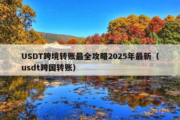 USDT跨境转账最全攻略2025年最新(usdt跨国转账)