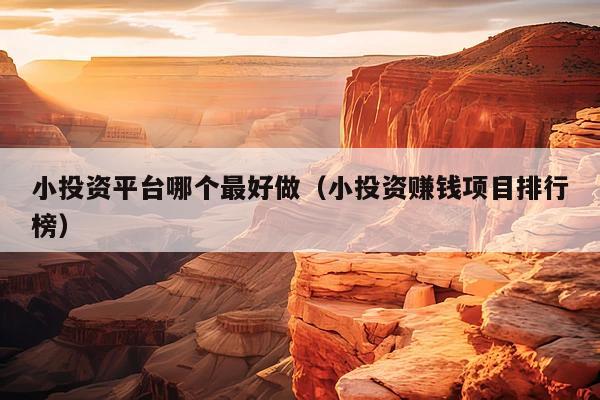 小投资平台哪个最好做(小投资赚钱项目排行榜)