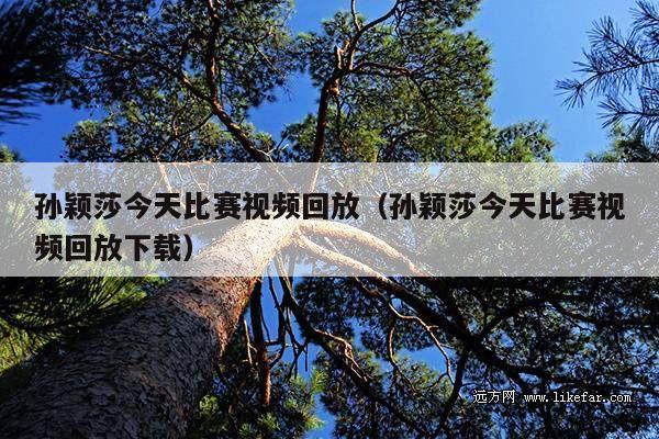 孙颖莎今天比赛视频回放(孙颖莎今天比赛视频回放下载)