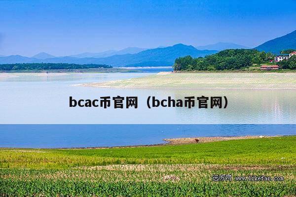 bcac币官网(bcha币官网)