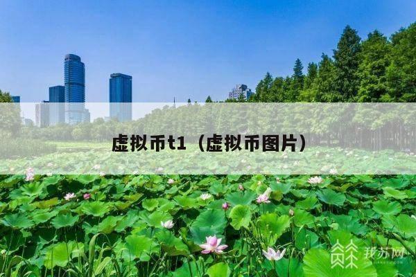 虚拟币t1(虚拟币图片)