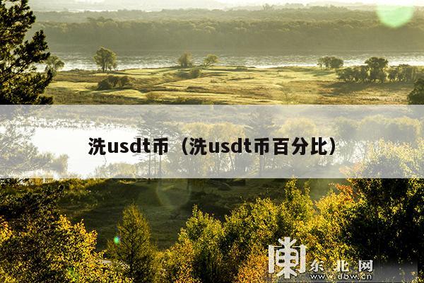 洗usdt币(洗usdt币百分比)