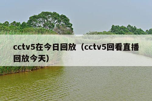 cctv5在今日回放(cctv5回看直播回放今天)