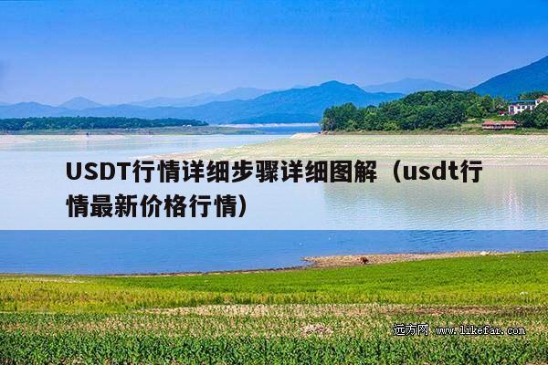USDT行情详细步骤详细图解(usdt行情最新价格行情)