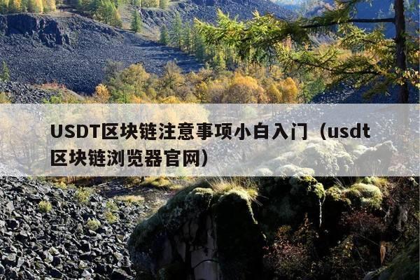 USDT区块链注意事项小白入门(usdt区块链浏览器官网)