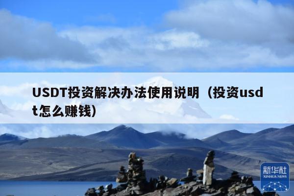 USDT投资解决办法使用说明(投资usdt怎么赚钱)