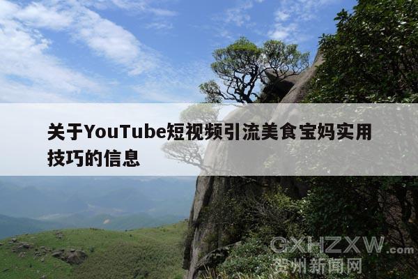 关于YouTube短视频引流美食宝妈实用技巧的信息