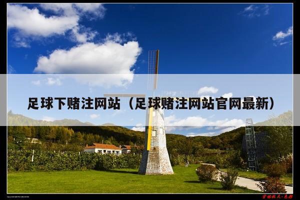 足球下赌注网站(足球赌注网站官网最新)