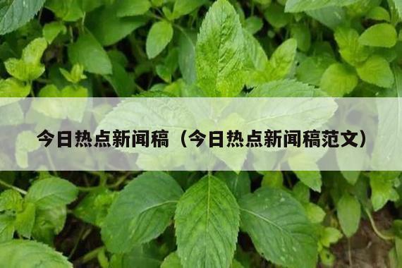 今日热点新闻稿(今日热点新闻稿范文)