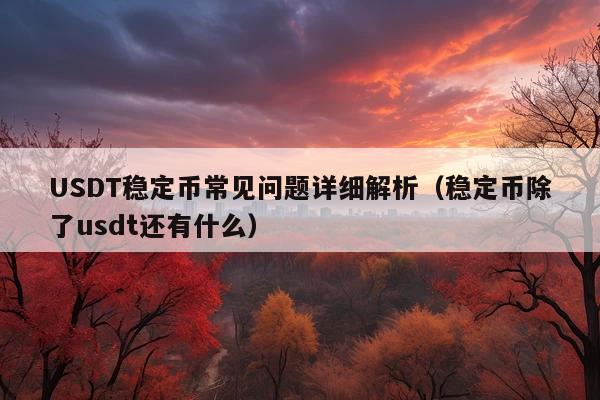 USDT稳定币常见问题详细解析(稳定币除了usdt还有什么)