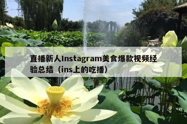 直播新人Instagram美食爆款视频经验总结(ins上的吃播)