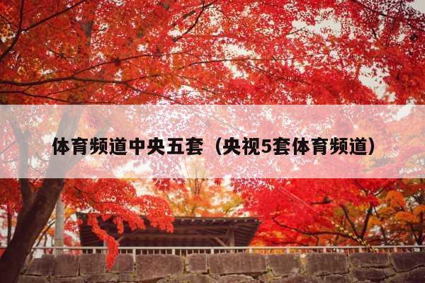 体育频道中央五套(央视5套体育频道)