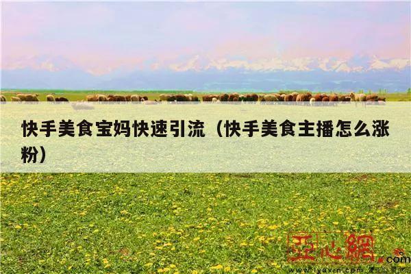 快手美食宝妈快速引流(快手美食主播怎么涨粉)