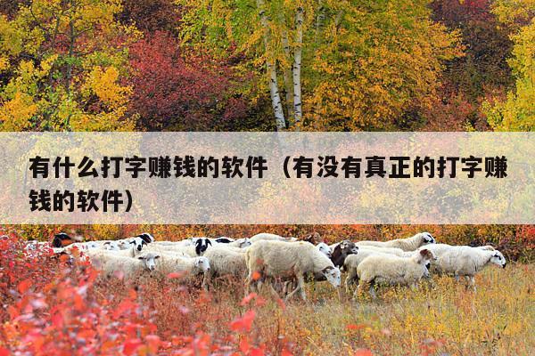 有什么打字赚钱的软件(有没有真正的打字赚钱的软件)