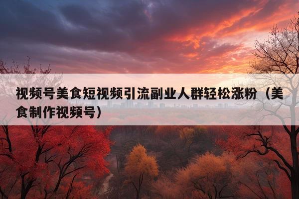 视频号美食短视频引流副业人群轻松涨粉(美食制作视频号)