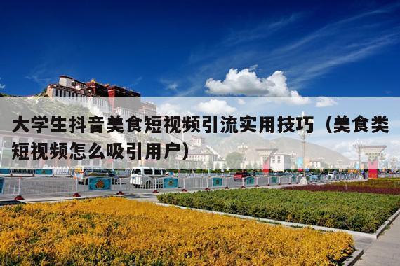 大学生抖音美食短视频引流实用技巧(美食类短视频怎么吸引用户)