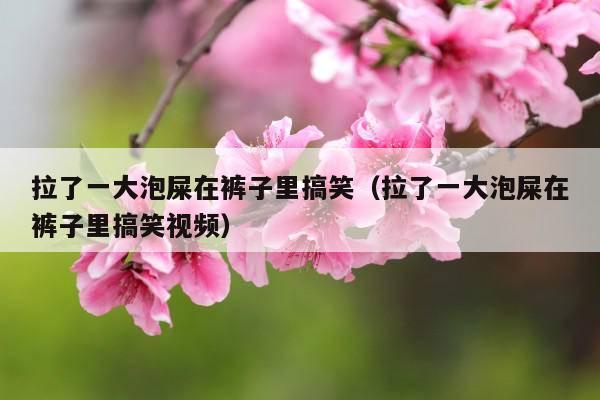 拉了一大泡屎在裤子里搞笑(拉了一大泡屎在裤子里搞笑视频)