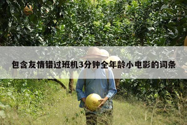 包含友情错过班机3分钟全年龄小电影的词条