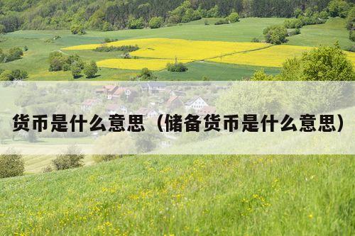 货币是什么意思(储备货币是什么意思)