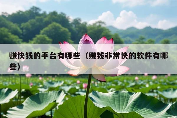 赚快钱的平台有哪些(赚钱非常快的软件有哪些)