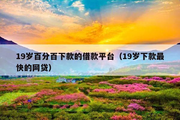 19岁百分百下款的借款平台(19岁下款最快的网贷)