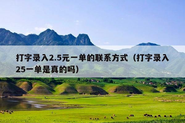 打字录入2.5元一单的联系方式(打字录入25一单是真的吗)