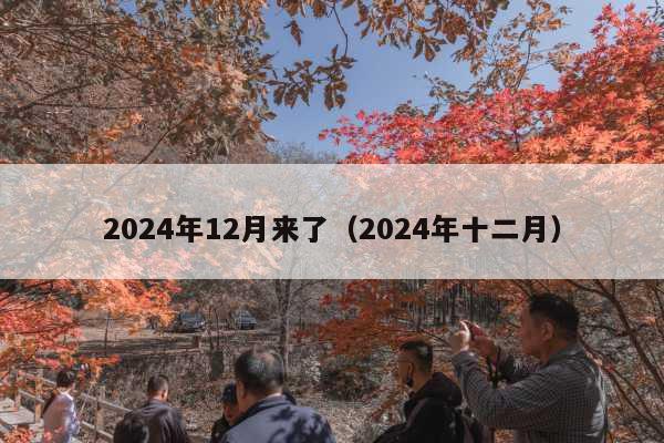 2024年12月来了(2024年十二月)