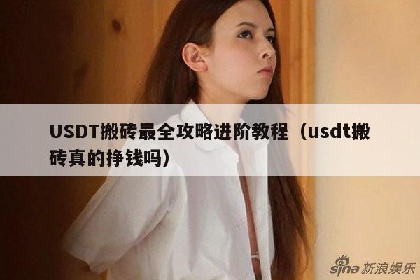 USDT搬砖最全攻略进阶教程(usdt搬砖真的挣钱吗)