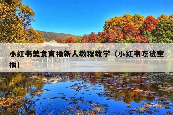 小红书美食直播新人教程教学(小红书吃货主播)