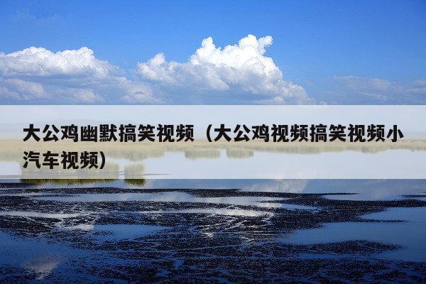 大公鸡幽默搞笑视频(大公鸡视频搞笑视频小汽车视频)