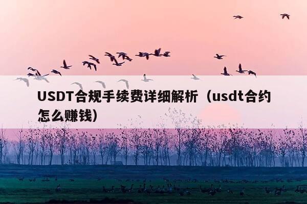 USDT合规手续费详细解析(usdt合约怎么赚钱)