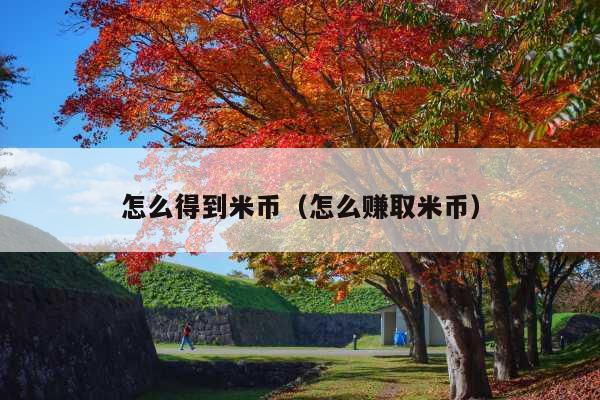 怎么得到米币(怎么赚取米币)