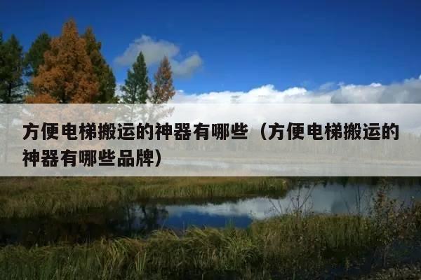 方便电梯搬运的神器有哪些(方便电梯搬运的神器有哪些品牌)