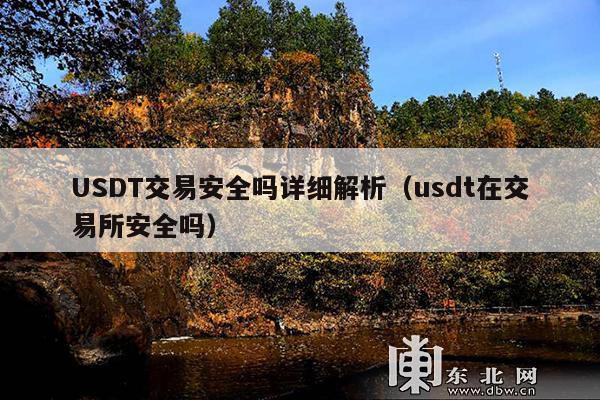 USDT交易安全吗详细解析(usdt在交易所安全吗)