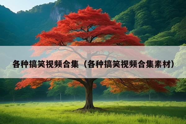 各种搞笑视频合集(各种搞笑视频合集素材)