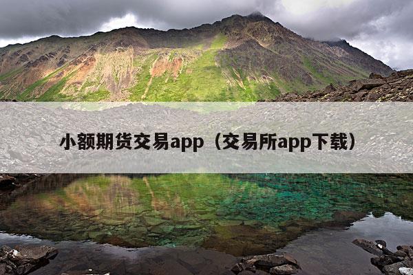 小额期货交易app(交易所app下载)