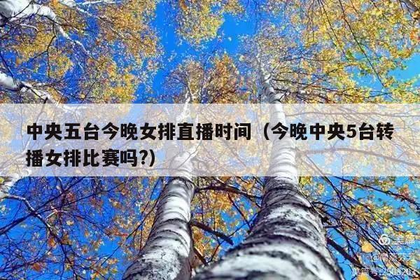 中央五台今晚女排直播时间(今晚中央5台转播女排比赛吗?)