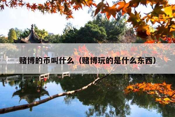 赌博的币叫什么(赌博玩的是什么东西)