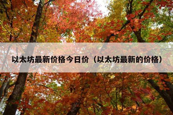 以太坊最新价格今日价(以太坊最新的价格)