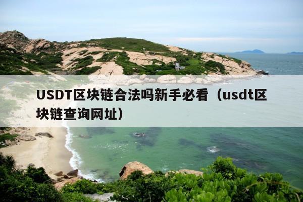 USDT区块链合法吗新手必看(usdt区块链查询网址)